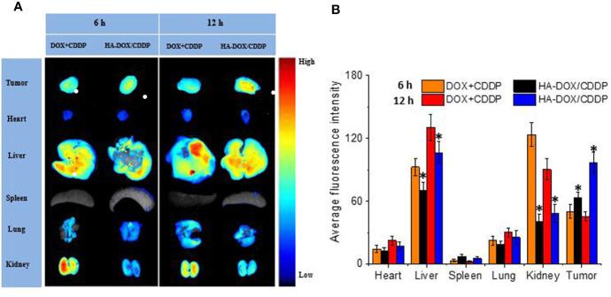 https://cdn.ncbi.nlm.nih.gov/pmc/blobs/71b5/7485461/9b5bdca84d16/fphar-11-532457-g005.jpg