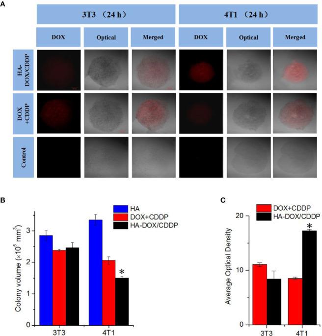 https://cdn.ncbi.nlm.nih.gov/pmc/blobs/71b5/7485461/fcee425edb2c/fphar-11-532457-g004.jpg