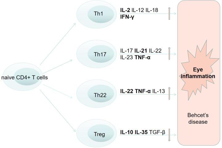 https://cdn.ncbi.nlm.nih.gov/pmc/blobs/71b7/10570607/332eb47b0963/fimmu-14-1206959-g001.jpg
