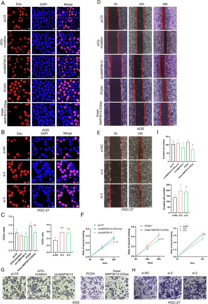 https://cdn.ncbi.nlm.nih.gov/pmc/blobs/71b7/12402440/7f2aab89192f/41419_2025_7991_Fig5_HTML.jpg