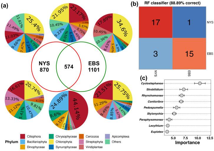 https://cdn.ncbi.nlm.nih.gov/pmc/blobs/71b8/11356250/53e38bb8debc/microorganisms-12-01618-g004.jpg