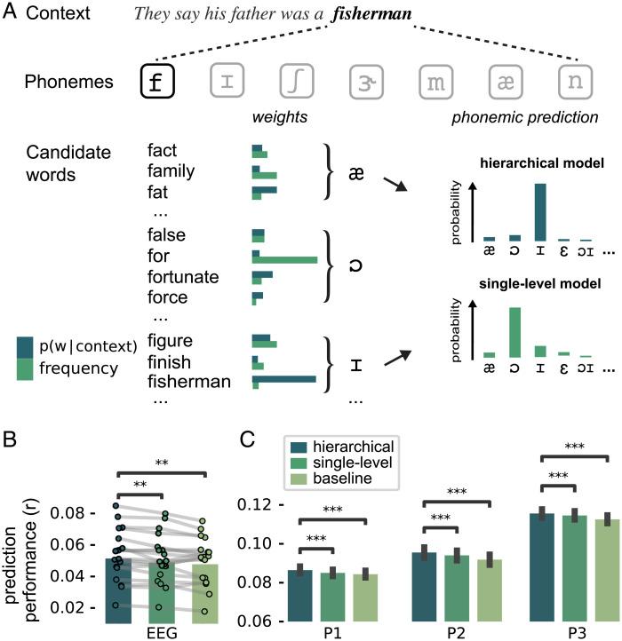 https://cdn.ncbi.nlm.nih.gov/pmc/blobs/71b9/9371745/2a288cbf6992/pnas.2201968119fig06.jpg