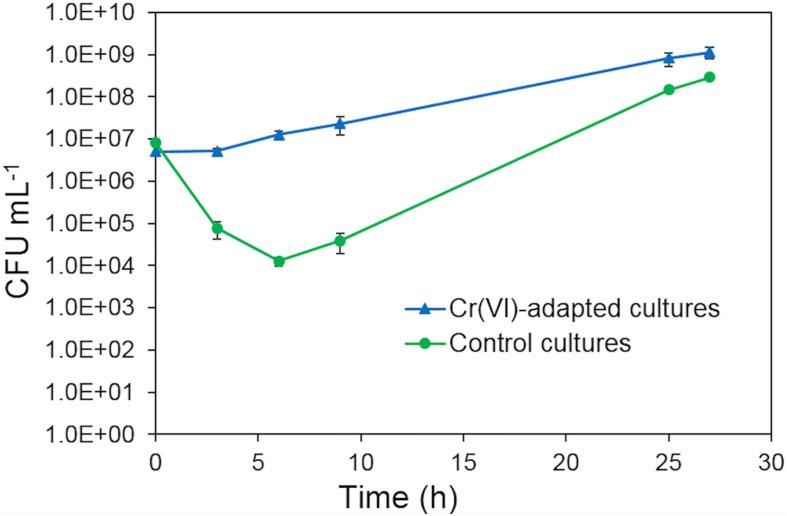 https://cdn.ncbi.nlm.nih.gov/pmc/blobs/71ba/8195247/31e14cbd8685/fmicb-12-656589-g003.jpg