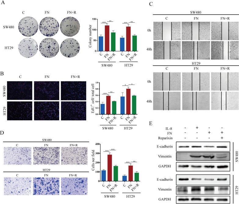 https://cdn.ncbi.nlm.nih.gov/pmc/blobs/71bc/11702224/a185d0e1468c/12929_2024_1097_Fig3_HTML.jpg