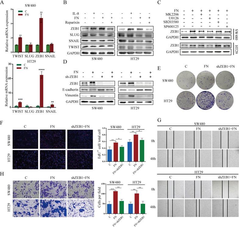 https://cdn.ncbi.nlm.nih.gov/pmc/blobs/71bc/11702224/a28c9ce40828/12929_2024_1097_Fig7_HTML.jpg