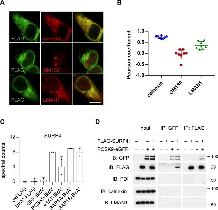 https://cdn.ncbi.nlm.nih.gov/pmc/blobs/71bc/6156083/b3547fd2d944/elife-38839-fig4.jpg