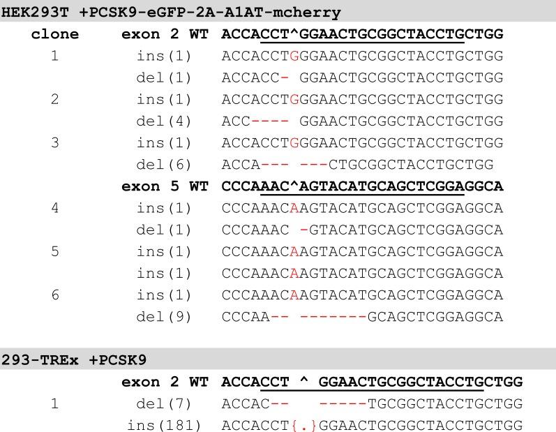 https://cdn.ncbi.nlm.nih.gov/pmc/blobs/71bc/6156083/b749da1d6430/elife-38839-fig3-figsupp2.jpg