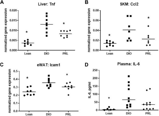 https://cdn.ncbi.nlm.nih.gov/pmc/blobs/71bc/8931041/2131a7bed8f3/fphar-13-852080-g006.jpg