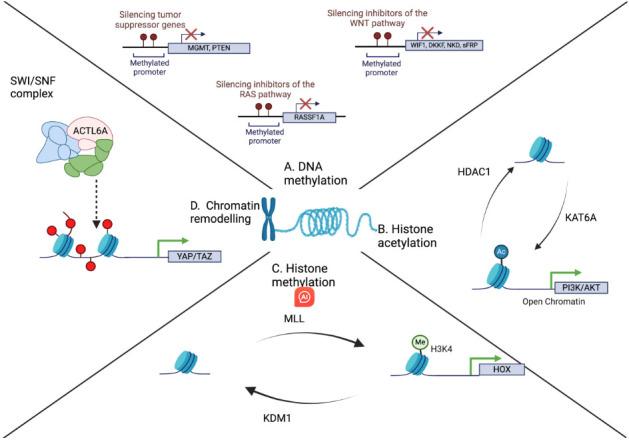 https://cdn.ncbi.nlm.nih.gov/pmc/blobs/71bd/11977385/17ec8c03115c/cdr-8-12.fig.1.jpg