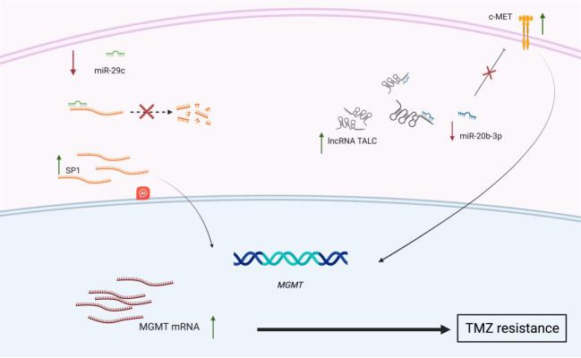 https://cdn.ncbi.nlm.nih.gov/pmc/blobs/71bd/11977385/f1957087e072/cdr-8-12.fig.2.jpg