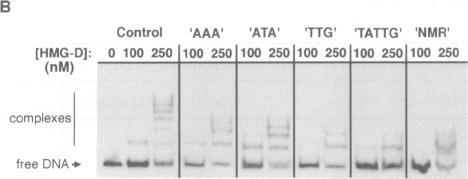https://cdn.ncbi.nlm.nih.gov/pmc/blobs/71bd/398206/219f9b55d612/emboj00030-0220-a.jpg