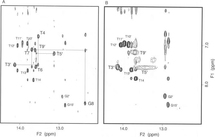 https://cdn.ncbi.nlm.nih.gov/pmc/blobs/71bd/398206/d959daa02cd3/emboj00030-0221-a.jpg