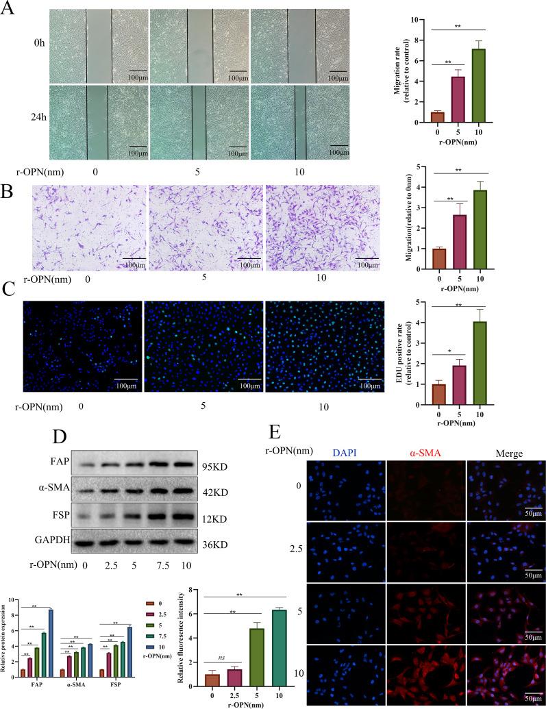 https://cdn.ncbi.nlm.nih.gov/pmc/blobs/71bf/11391636/4160af576600/12967_2024_5613_Fig6_HTML.jpg