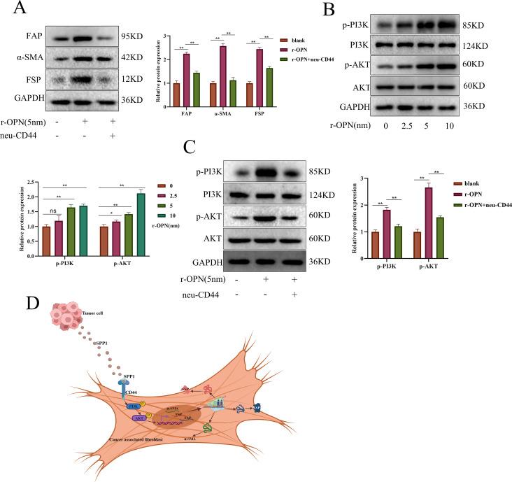 https://cdn.ncbi.nlm.nih.gov/pmc/blobs/71bf/11391636/92f0aad16a53/12967_2024_5613_Fig8_HTML.jpg