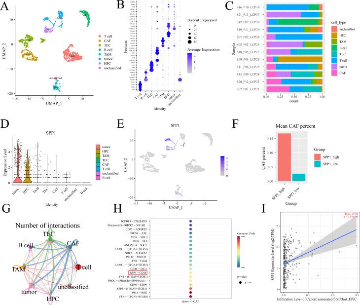 https://cdn.ncbi.nlm.nih.gov/pmc/blobs/71bf/11391636/97b9e623cbf8/12967_2024_5613_Fig3_HTML.jpg