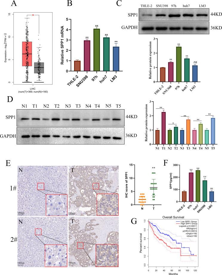 https://cdn.ncbi.nlm.nih.gov/pmc/blobs/71bf/11391636/a8ae90d30468/12967_2024_5613_Fig4_HTML.jpg