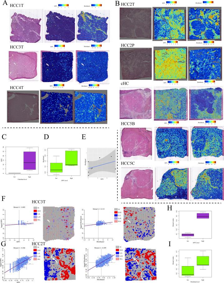 https://cdn.ncbi.nlm.nih.gov/pmc/blobs/71bf/11391636/af2a22afe7a8/12967_2024_5613_Fig1_HTML.jpg