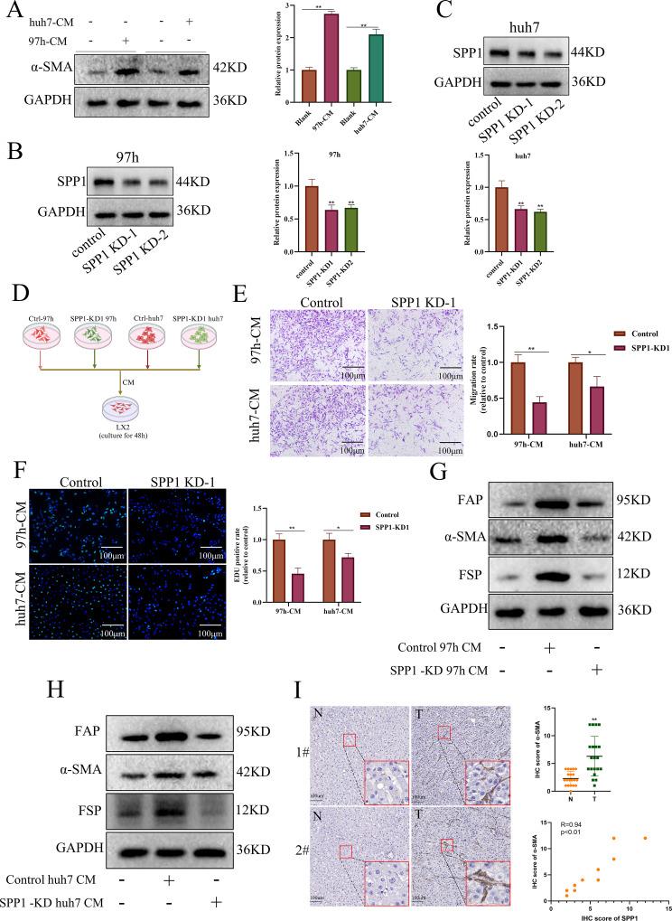 https://cdn.ncbi.nlm.nih.gov/pmc/blobs/71bf/11391636/b57dd99fae4e/12967_2024_5613_Fig5_HTML.jpg