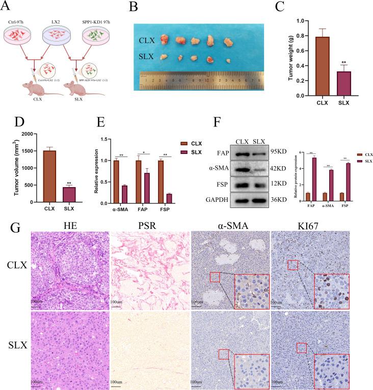 https://cdn.ncbi.nlm.nih.gov/pmc/blobs/71bf/11391636/eda5fca4df4f/12967_2024_5613_Fig7_HTML.jpg
