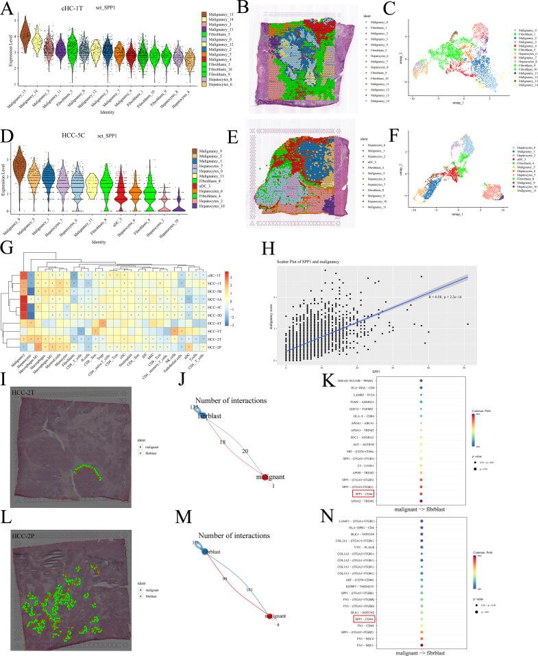 https://cdn.ncbi.nlm.nih.gov/pmc/blobs/71bf/11391636/f3153bc8e5d7/12967_2024_5613_Fig2_HTML.jpg