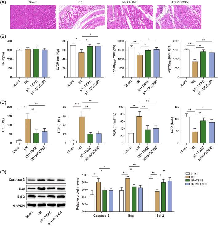 https://cdn.ncbi.nlm.nih.gov/pmc/blobs/71bf/11895957/7183c71f593d/KJM2-39-290-g002.jpg