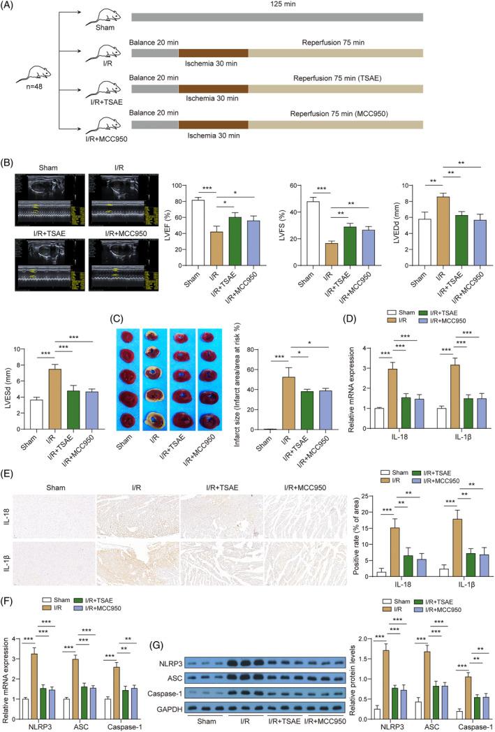 https://cdn.ncbi.nlm.nih.gov/pmc/blobs/71bf/11895957/72c93248febd/KJM2-39-290-g001.jpg