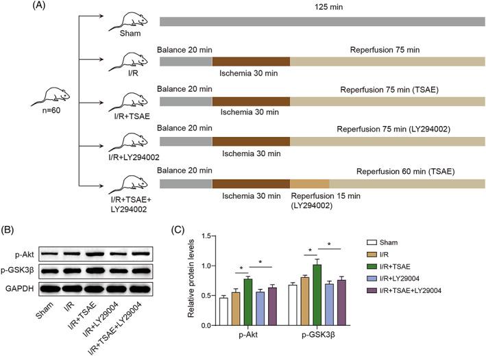 https://cdn.ncbi.nlm.nih.gov/pmc/blobs/71bf/11895957/e2e1b9d451e6/KJM2-39-290-g003.jpg