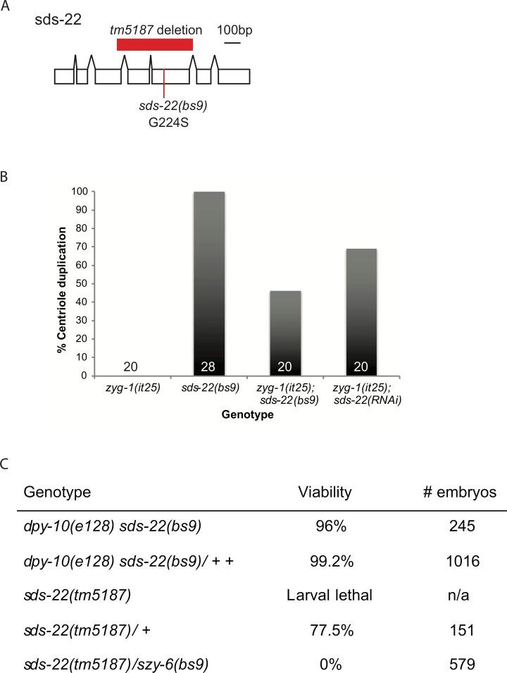 https://cdn.ncbi.nlm.nih.gov/pmc/blobs/71c0/5289615/a2b16fccd79c/pgen.1006543.g002.jpg