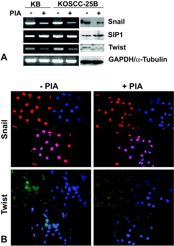 https://cdn.ncbi.nlm.nih.gov/pmc/blobs/71c5/2651854/63765102d2cc/1756-9966-28-28-3.jpg