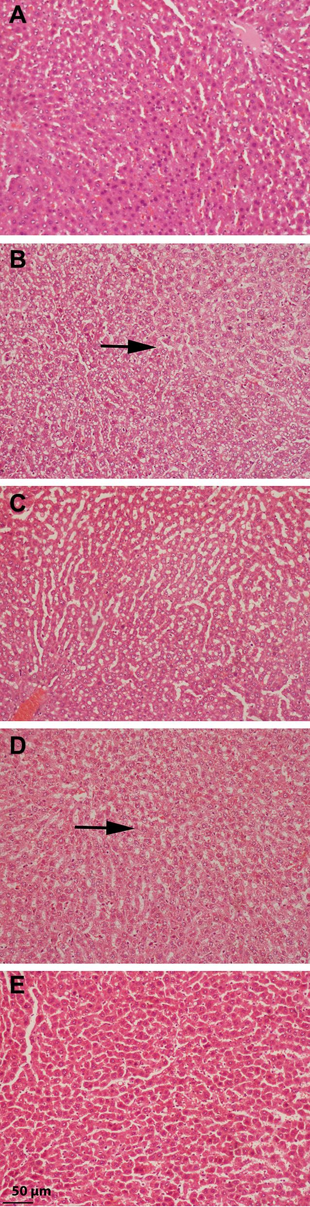 https://cdn.ncbi.nlm.nih.gov/pmc/blobs/71c5/8886028/8bf3041d7f46/JIR-15-1293-g0008.jpg