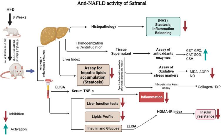 https://cdn.ncbi.nlm.nih.gov/pmc/blobs/71c5/8886028/c265c0486389/JIR-15-1293-g0001.jpg