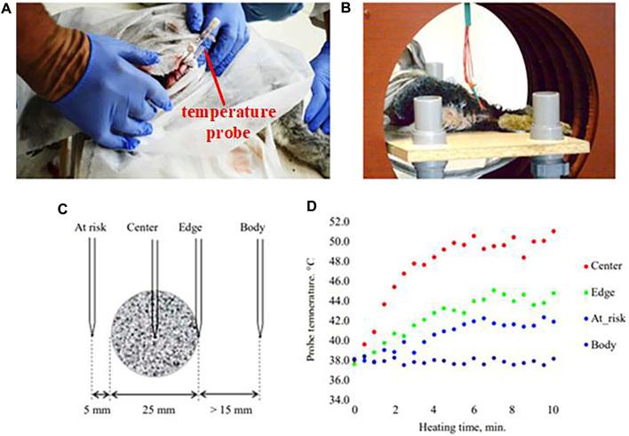 https://cdn.ncbi.nlm.nih.gov/pmc/blobs/71c6/11331313/1bebb3260dd0/fbioe-12-1432189-g010.jpg