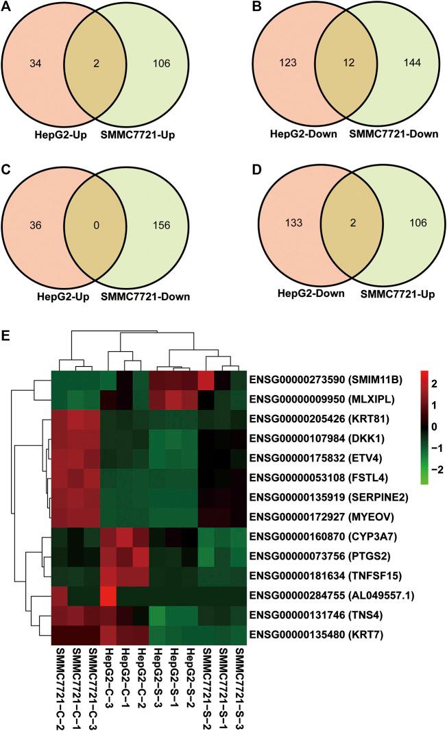 https://cdn.ncbi.nlm.nih.gov/pmc/blobs/71c6/7942274/138fde798606/fphar-11-566099-g004.jpg
