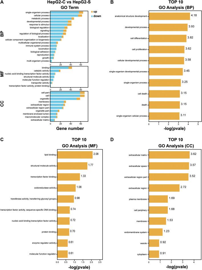 https://cdn.ncbi.nlm.nih.gov/pmc/blobs/71c6/7942274/2bb8f9e243d6/fphar-11-566099-g005.jpg