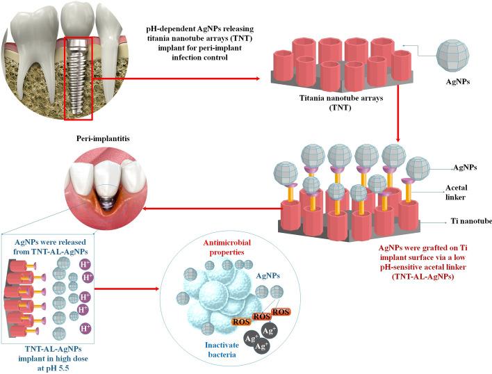https://cdn.ncbi.nlm.nih.gov/pmc/blobs/71c7/11470642/0406f8b7ee88/12938_2024_1294_Fig6_HTML.jpg
