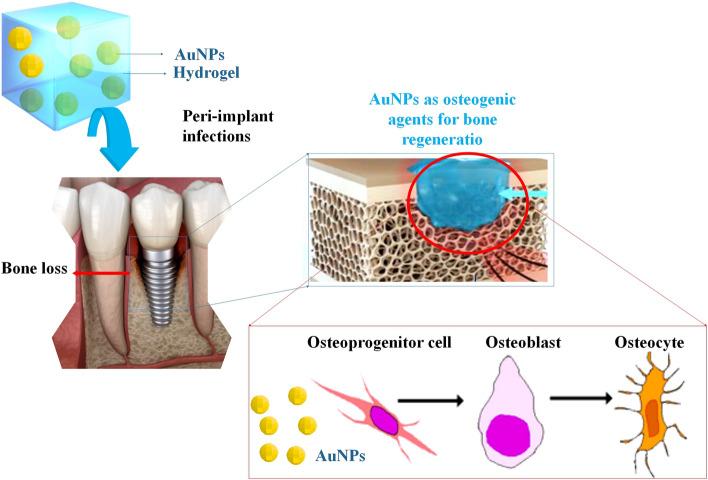 https://cdn.ncbi.nlm.nih.gov/pmc/blobs/71c7/11470642/28181751527b/12938_2024_1294_Fig7_HTML.jpg