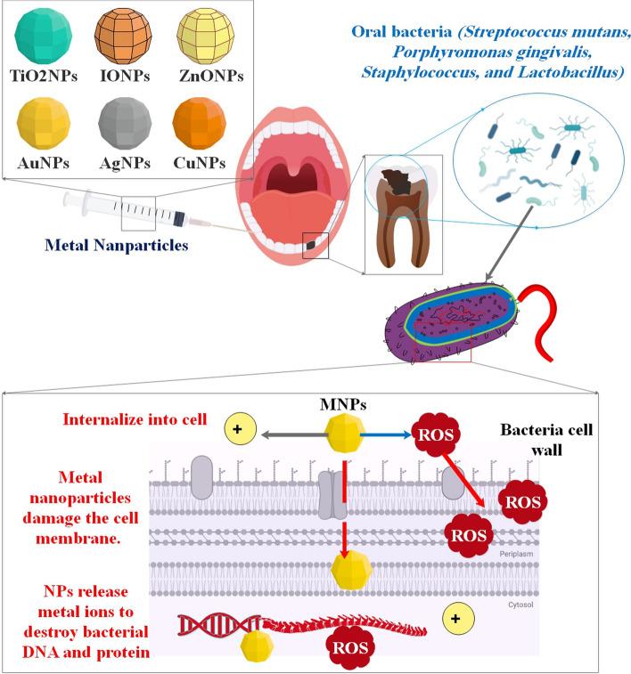 https://cdn.ncbi.nlm.nih.gov/pmc/blobs/71c7/11470642/e26ed59d7eec/12938_2024_1294_Fig3_HTML.jpg