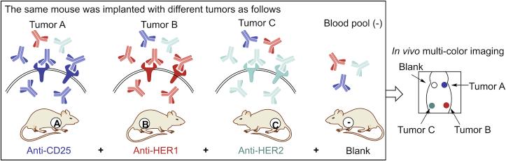 https://cdn.ncbi.nlm.nih.gov/pmc/blobs/71ca/7591813/5346b6bce2b0/gr8.jpg
