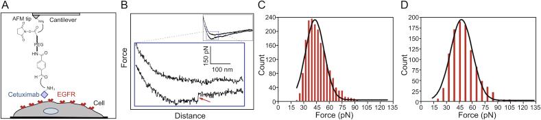 https://cdn.ncbi.nlm.nih.gov/pmc/blobs/71ca/7591813/58df743289de/gr10.jpg