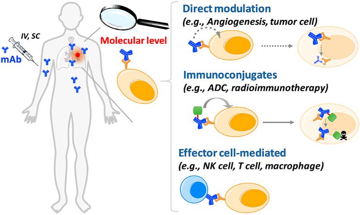https://cdn.ncbi.nlm.nih.gov/pmc/blobs/71ca/7591813/61ef3f3de402/fx1.jpg