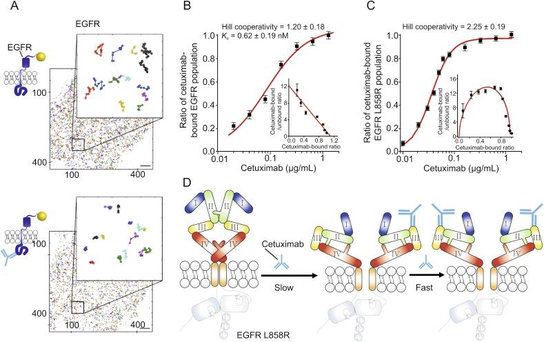 https://cdn.ncbi.nlm.nih.gov/pmc/blobs/71ca/7591813/6601707d412c/gr9.jpg