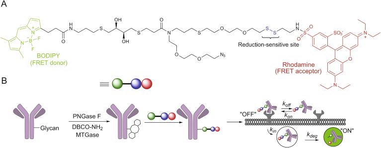 https://cdn.ncbi.nlm.nih.gov/pmc/blobs/71ca/7591813/80c30a07ad0b/gr18.jpg