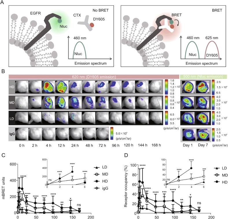 https://cdn.ncbi.nlm.nih.gov/pmc/blobs/71ca/7591813/a4ef72f99023/gr11.jpg