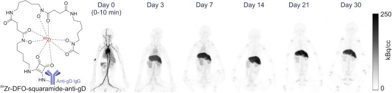 https://cdn.ncbi.nlm.nih.gov/pmc/blobs/71ca/7591813/ce19ee2bd3cb/gr6.jpg