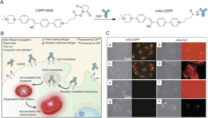 https://cdn.ncbi.nlm.nih.gov/pmc/blobs/71ca/7591813/f21ca466e91d/gr14.jpg