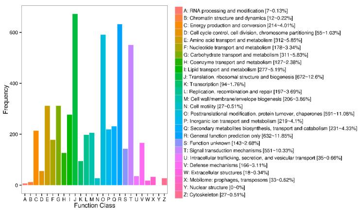 https://cdn.ncbi.nlm.nih.gov/pmc/blobs/71ca/9778047/4aca277f1882/genes-13-02212-g004.jpg