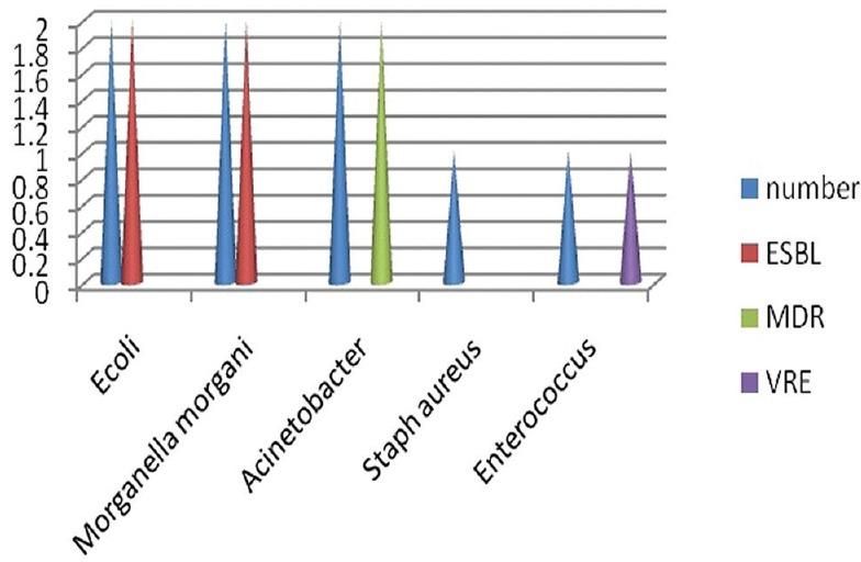 https://cdn.ncbi.nlm.nih.gov/pmc/blobs/71cb/5628537/1dd324ad6fc2/IJEM-21-688-g004.jpg