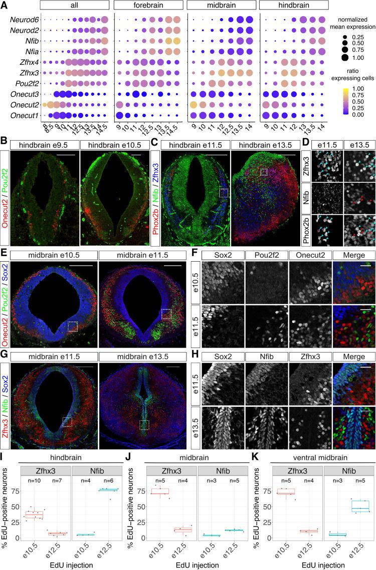 https://cdn.ncbi.nlm.nih.gov/pmc/blobs/71cc/8612522/0c7a40fa9fa4/pbio.3001450.g002.jpg