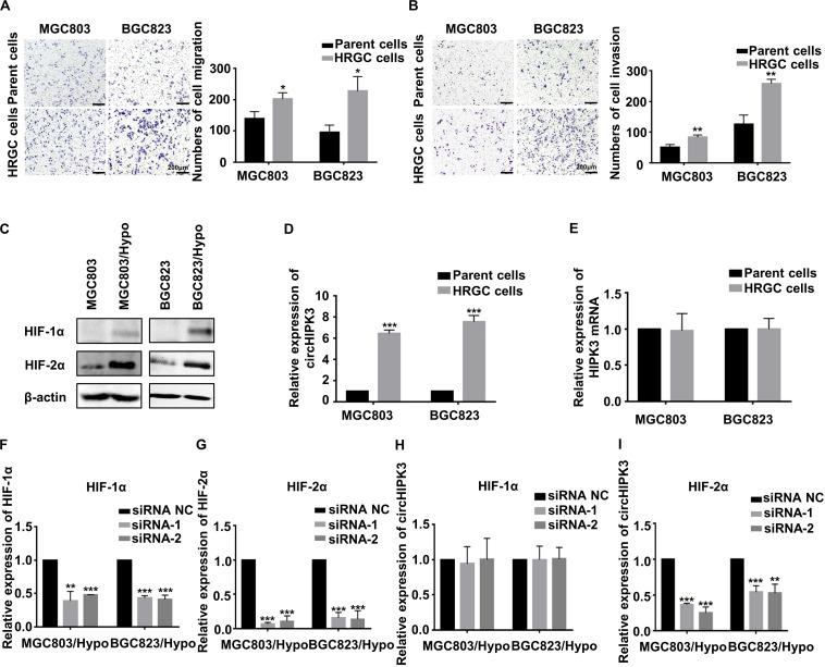 https://cdn.ncbi.nlm.nih.gov/pmc/blobs/71cd/7443574/795137c013c7/fonc-10-01612-g001.jpg