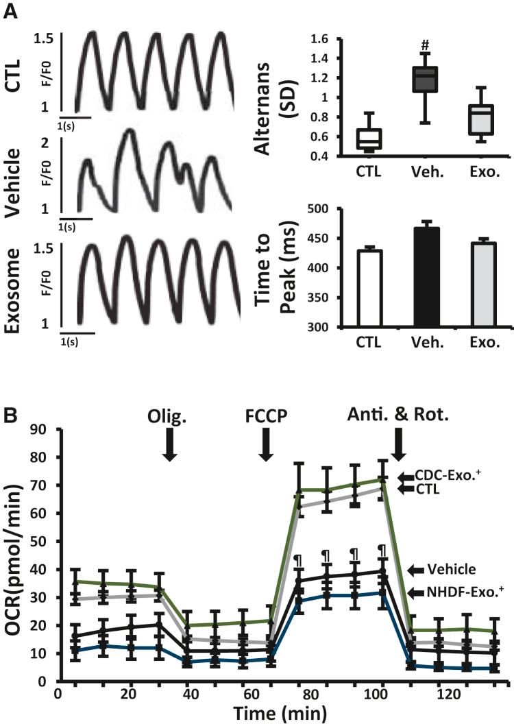 https://cdn.ncbi.nlm.nih.gov/pmc/blobs/71ce/5918344/9fd2d4162f7f/gr6.jpg